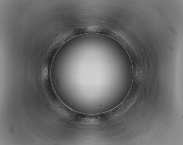 X0000115790502200911131311