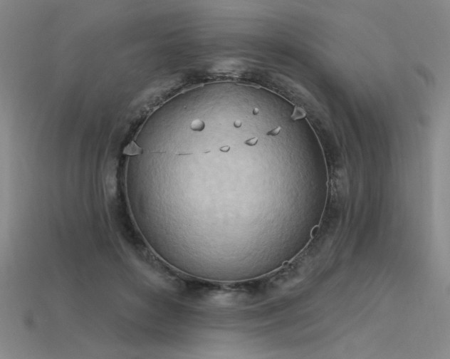 X0000115790504200911131311