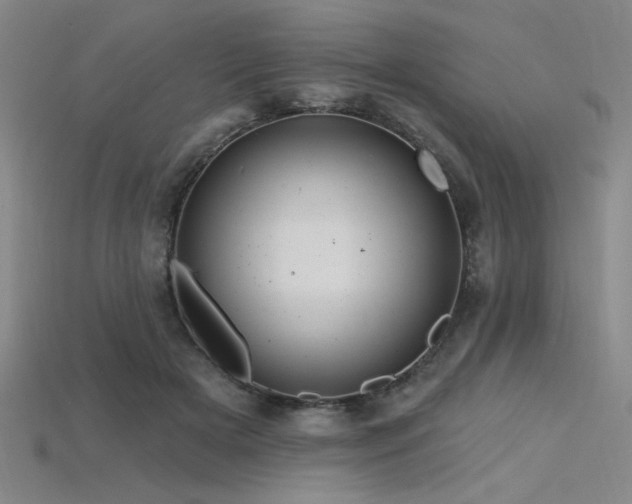 X0000115790505200911131311