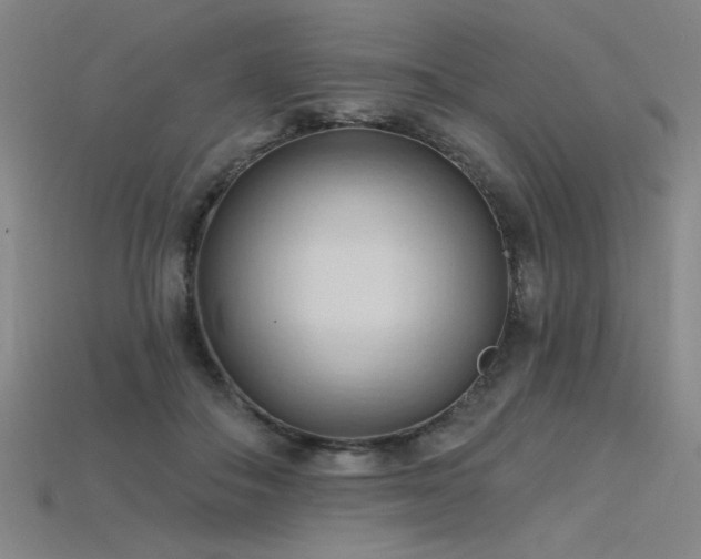 X0000115790506200911131311