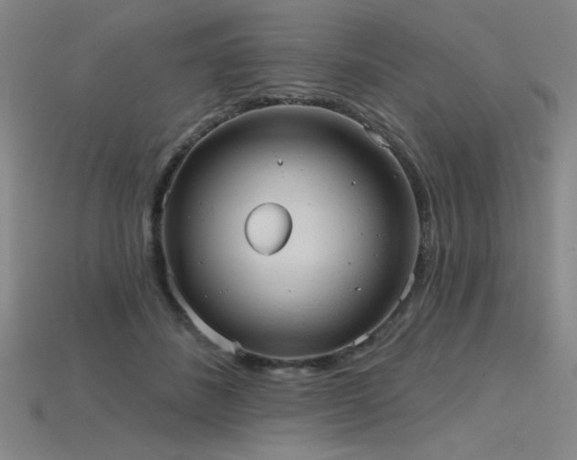 X0000115790508200911131311