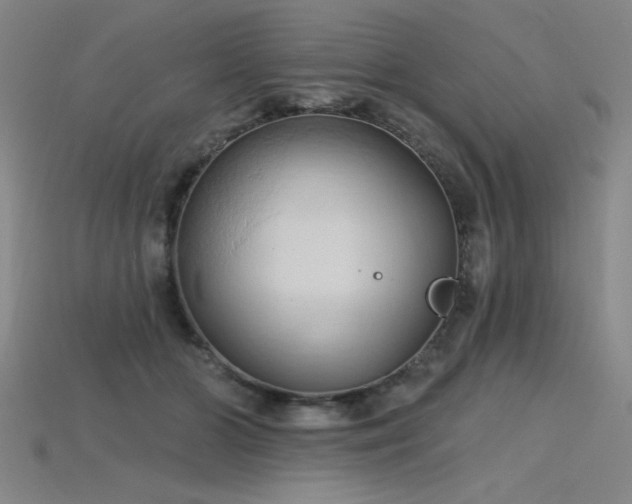 X0000115790510200911131311