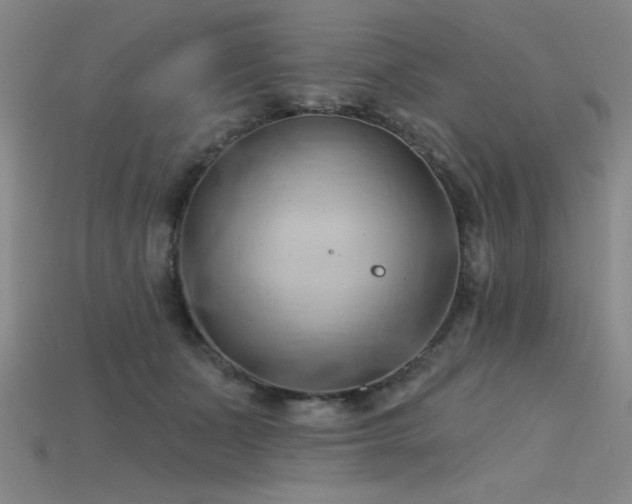 X0000115790511200911131311