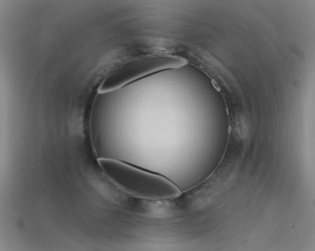 X0000115790512200911131311