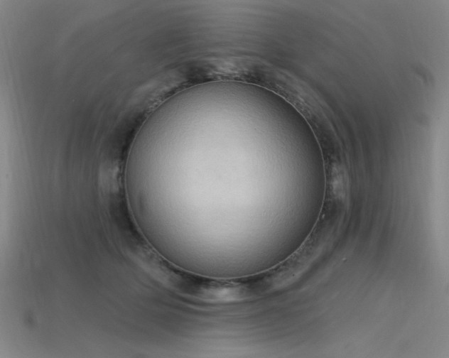 X0000115790514200911131311