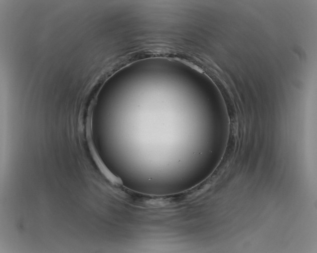 X0000115790516200911131311