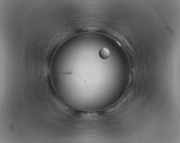 X0000115790517200911131311