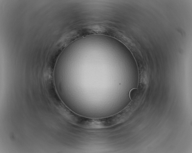 X0000115790518200911131311