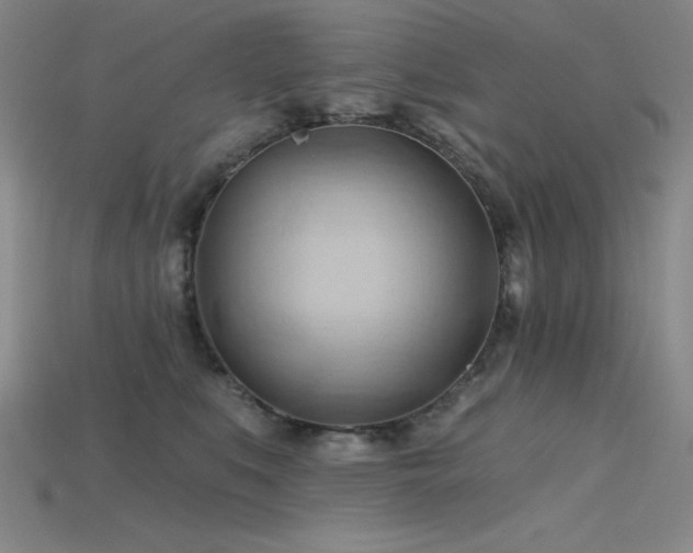 X0000115790519200911131311