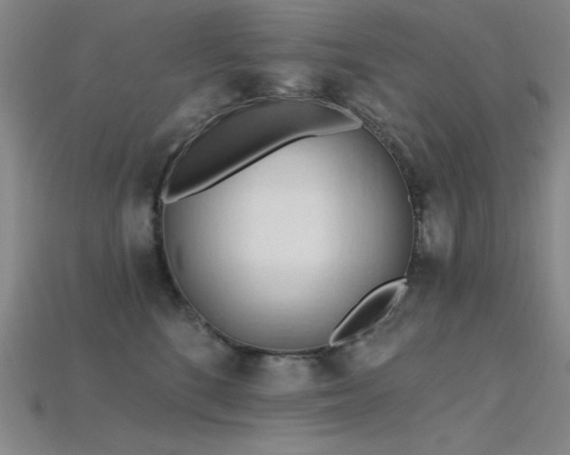 X0000115790520200911131311