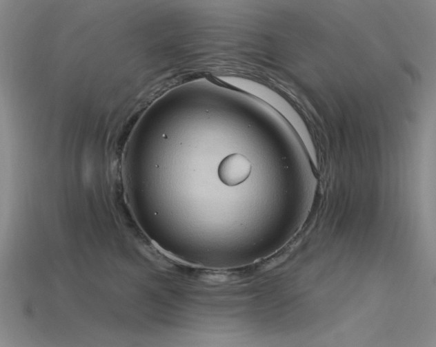 X0000115790521200911131311