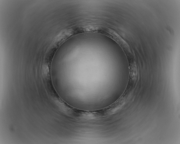 X0000115790523200911131311