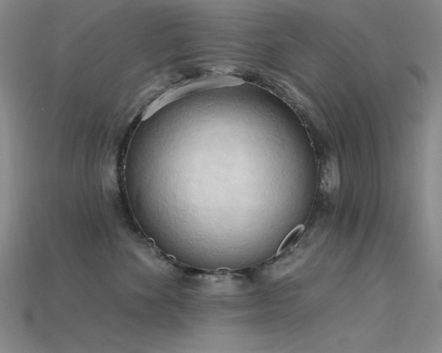 X0000115790524200911131311