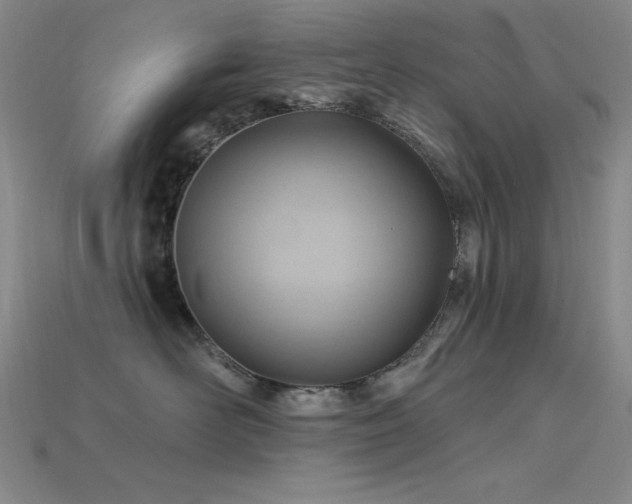 X0000115790526200911131311