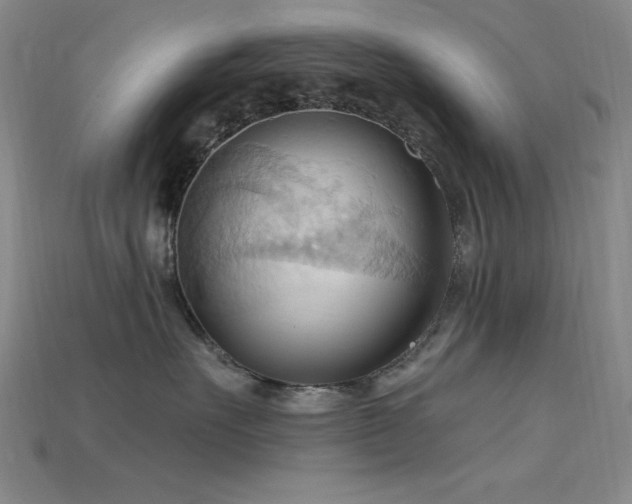 X0000115790527200911131311