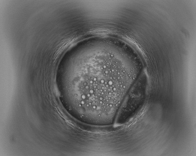 X0000115790529200911131310