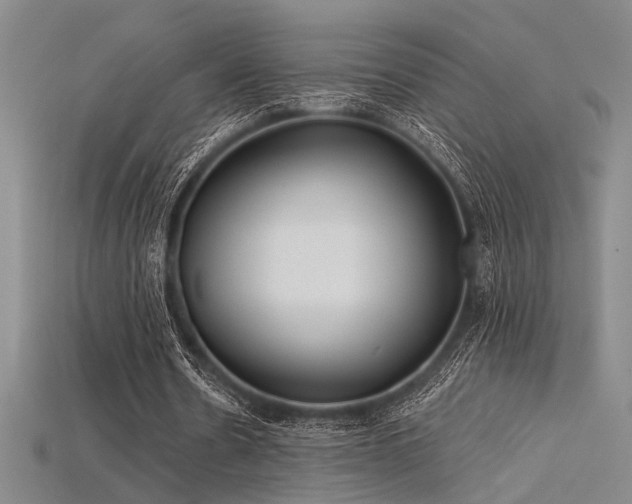 X0000115790530200911131310