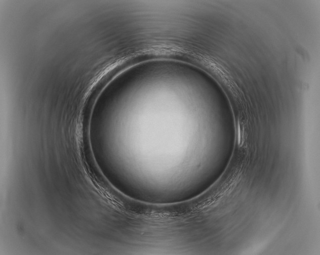 X0000115790531200911131310