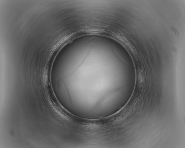 X0000115790533200911131310