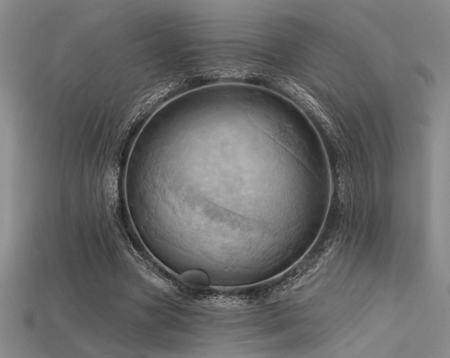 X0000115790537200911131310