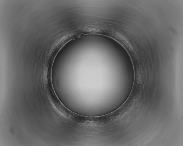 X0000115790538200911131310