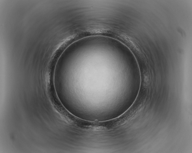 X0000115790539200911131310