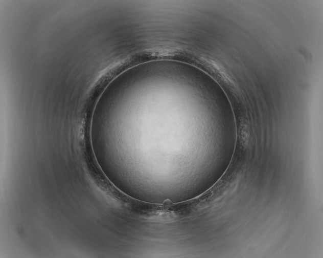 X0000115790543200911131310