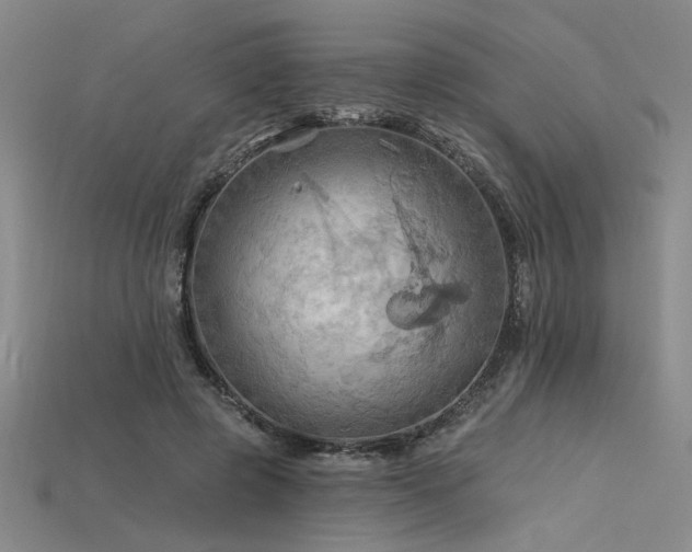 X0000115790545200911131310