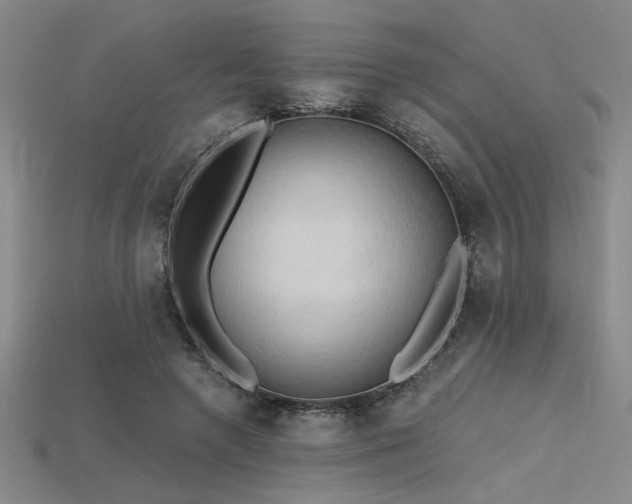 X0000115790546200911131310