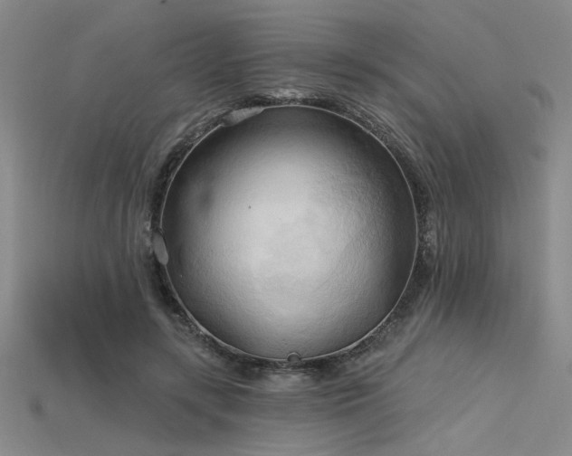 X0000115790547200911131310