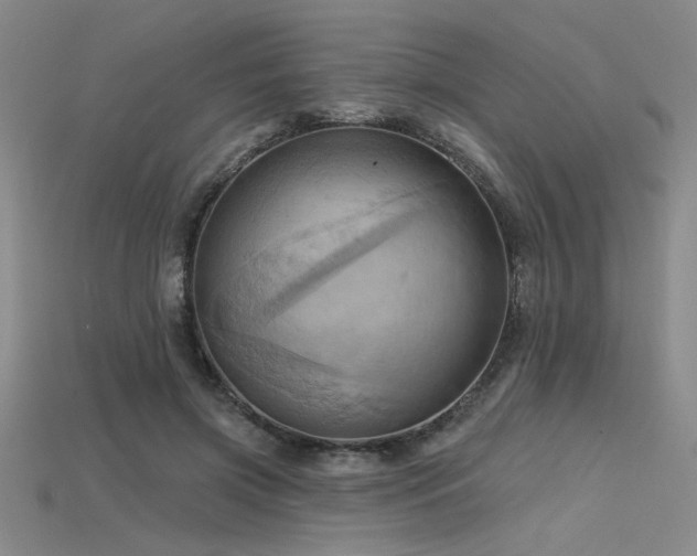 X0000115790549200911131310