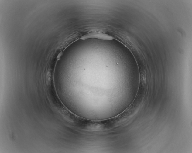 X0000115790551200911131310