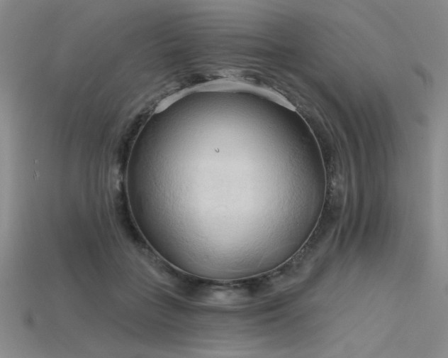 X0000115790555200911131310