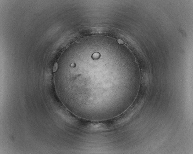 X0000115790557200911131310