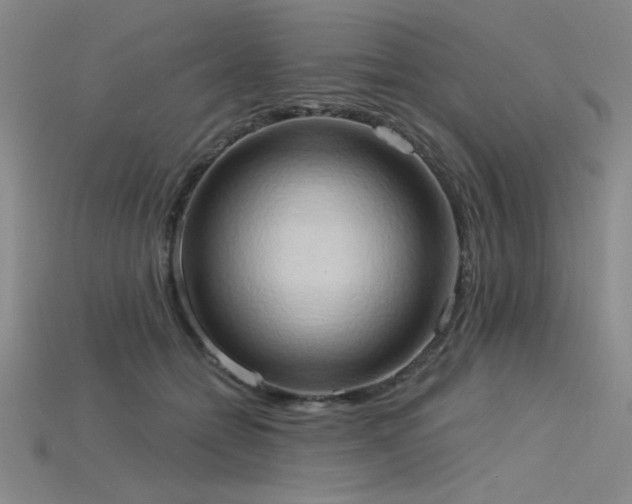 X0000115790558200911131310