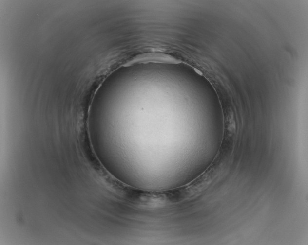 X0000115790559200911131310