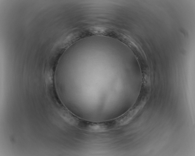 X0000115790561200911131310