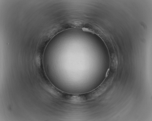 X0000115790562200911131310