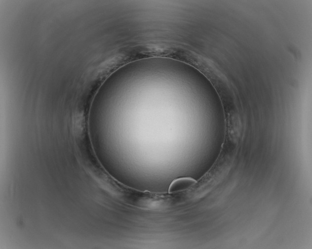 X0000115790563200911131310