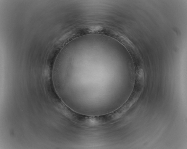 X0000115790565200911131310