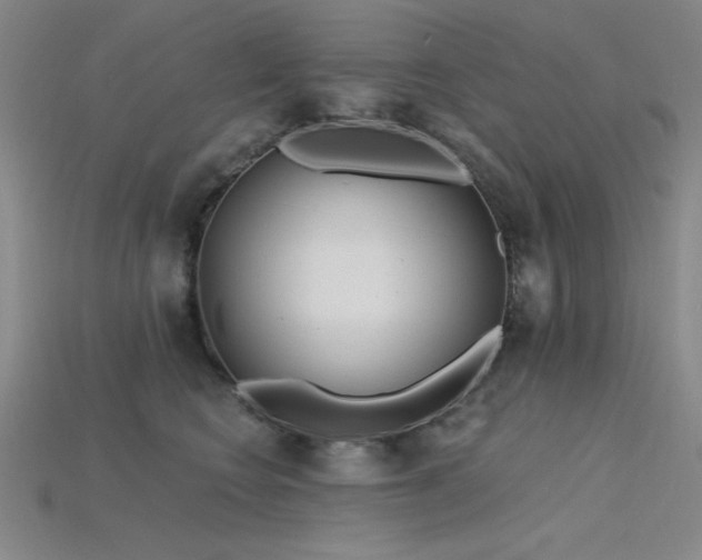 X0000115790566200911131310