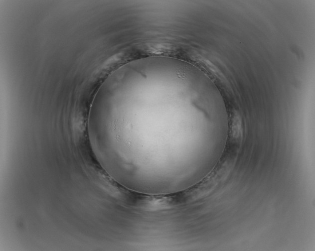 X0000115790569200911131310