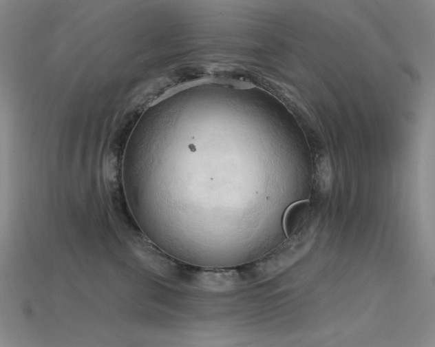 X0000115790571200911131311