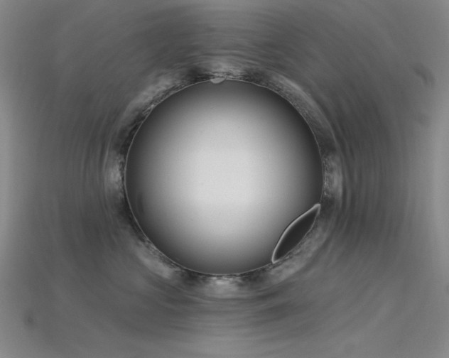 X0000115790573200911131311