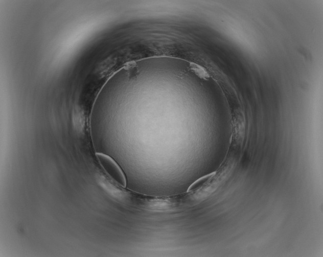 X0000115790574200911131311