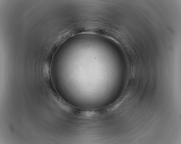 X0000115790575200911131311