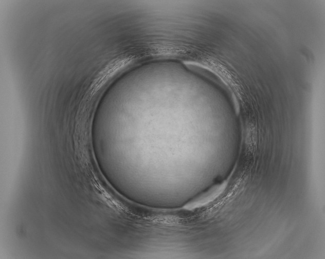 X0000115790577200911131310