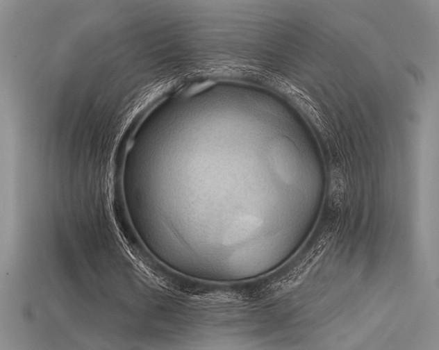 X0000115790578200911131310