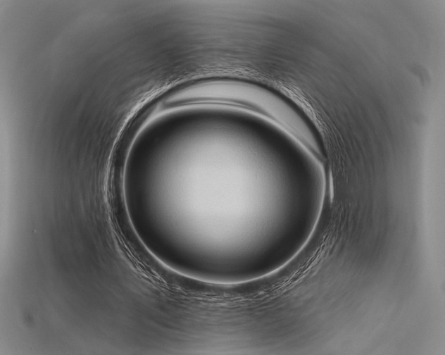 X0000115790579200911131310