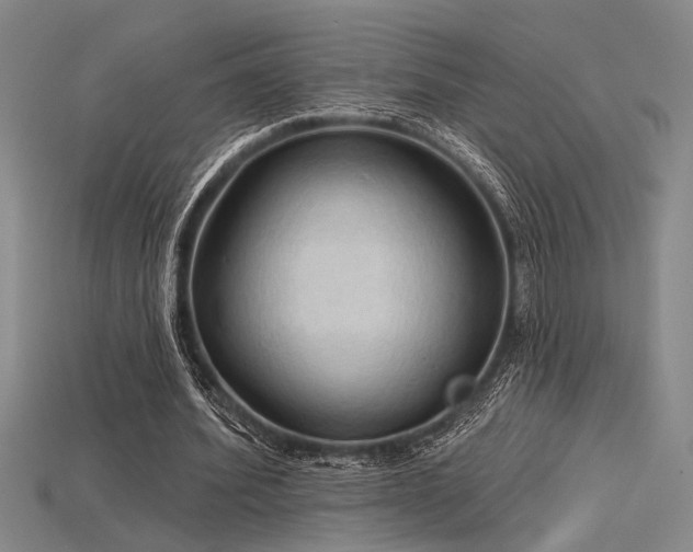 X0000115790580200911131310